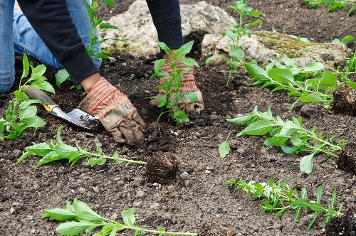 Gloves, helmet and high-visibility vest laid out for gardeners