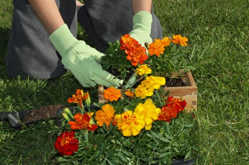 Volunteer demonstrating adaptive gardening technique